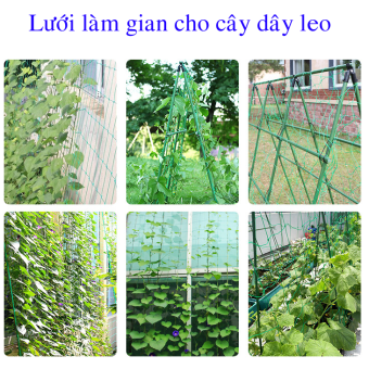 Lưới nhựa làm giàn cho cây dây leo,  giàn cho dưa leo, gian cho cây nho leo