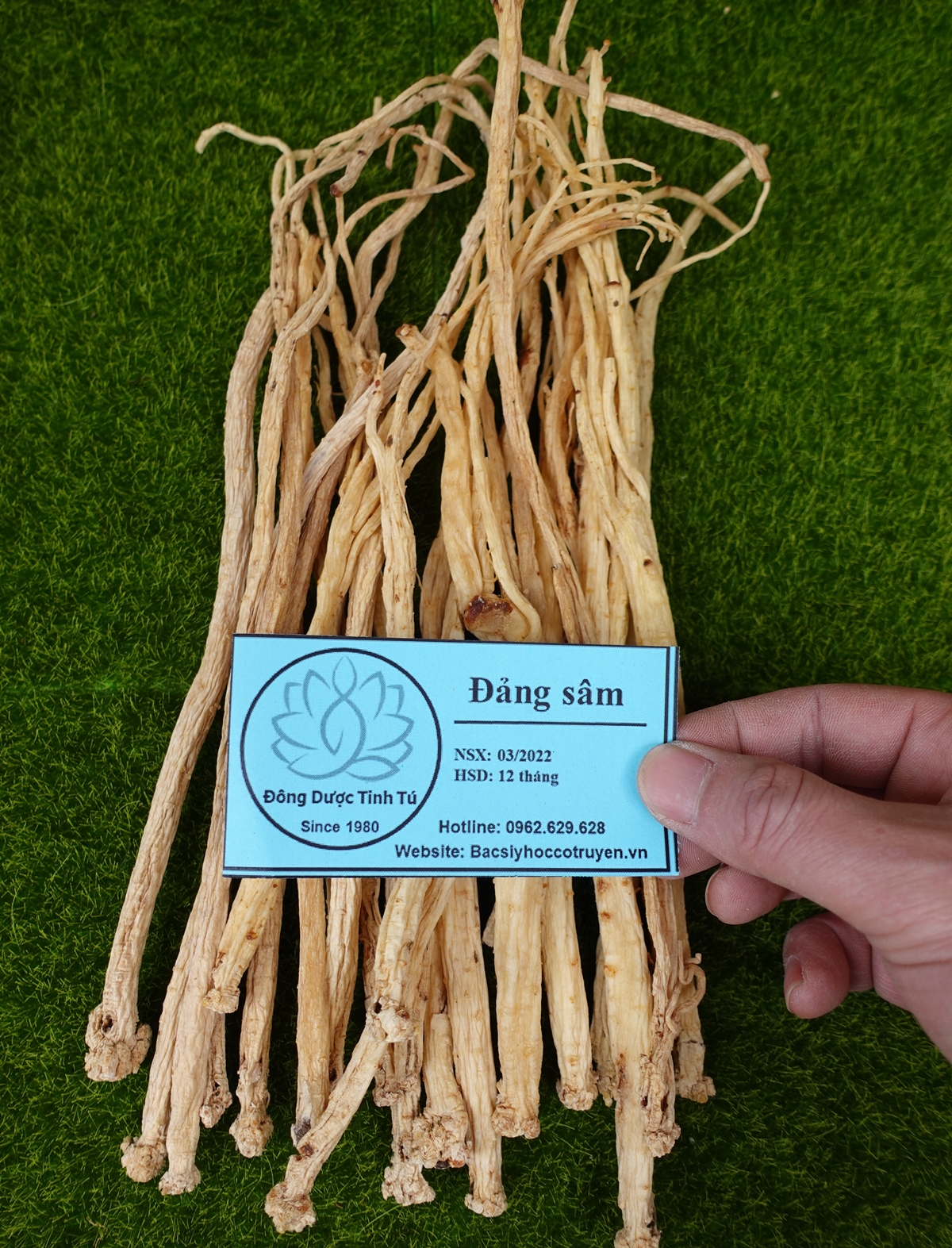 Đảng sâm 100g, dược liệu loại 1, khô, sạch