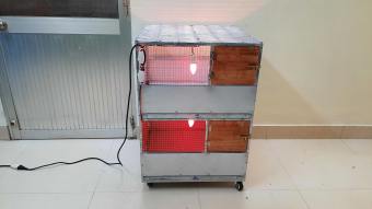 CHUỒNG ÚM GÀ CON