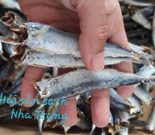 1kg cá nục khô. Khô cá nục. cá nục