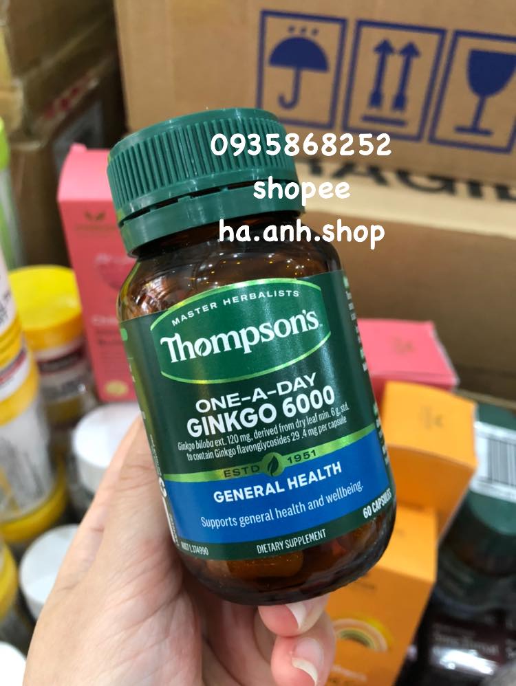 Thompson Ginkgo 6000mg