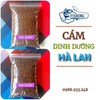 Combo 2kg Cám cá Hà Lan HD02 30 đạm chuẩn làm thức ăn cho cá và làm Mồi câu cá chép, Trắm đen, Trôi