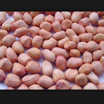 Lạc bóc tay, lạc quê bóc bỏ 400gr - nông phẩm quê