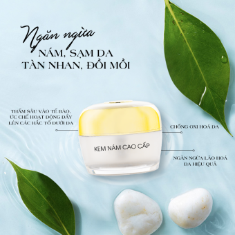 Kem face nám cao cấp ban ngày S-White 25gr