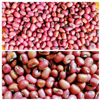 Đậu Đỏ Khô 1kg