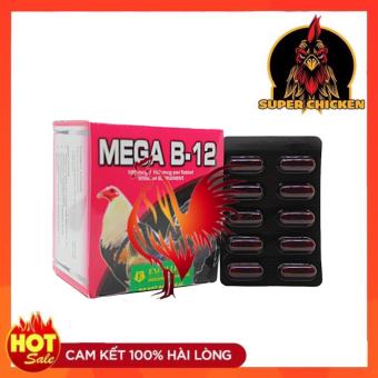 Thuốc nuôi gà đá tăng bo MEGA-B12 tăng máu, tăng nước, hừng gà bo lớn cho gà đá thuốc gà, thuốc gà đá, thuốc cho gà đá, thuốc nuôi gà đá tăng bo, thuốc tăng bo cho gà đá