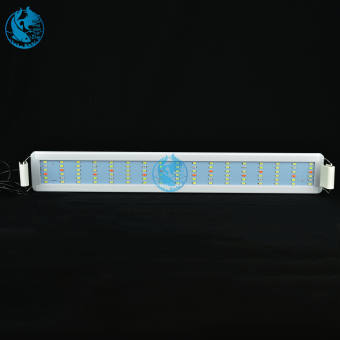 Đèn bể cá, Đèn thuỷ sinh WRGB 6 dãy bóng, đèn led máng cho bể cá 20cm, 30cm, 40cm, 50cm, 60cm Cho bể cá, hồ cá, bể thuỷ sinh, hồ thuỷ sinh