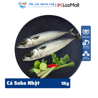 Cá Saba Nauy Nguyên Con