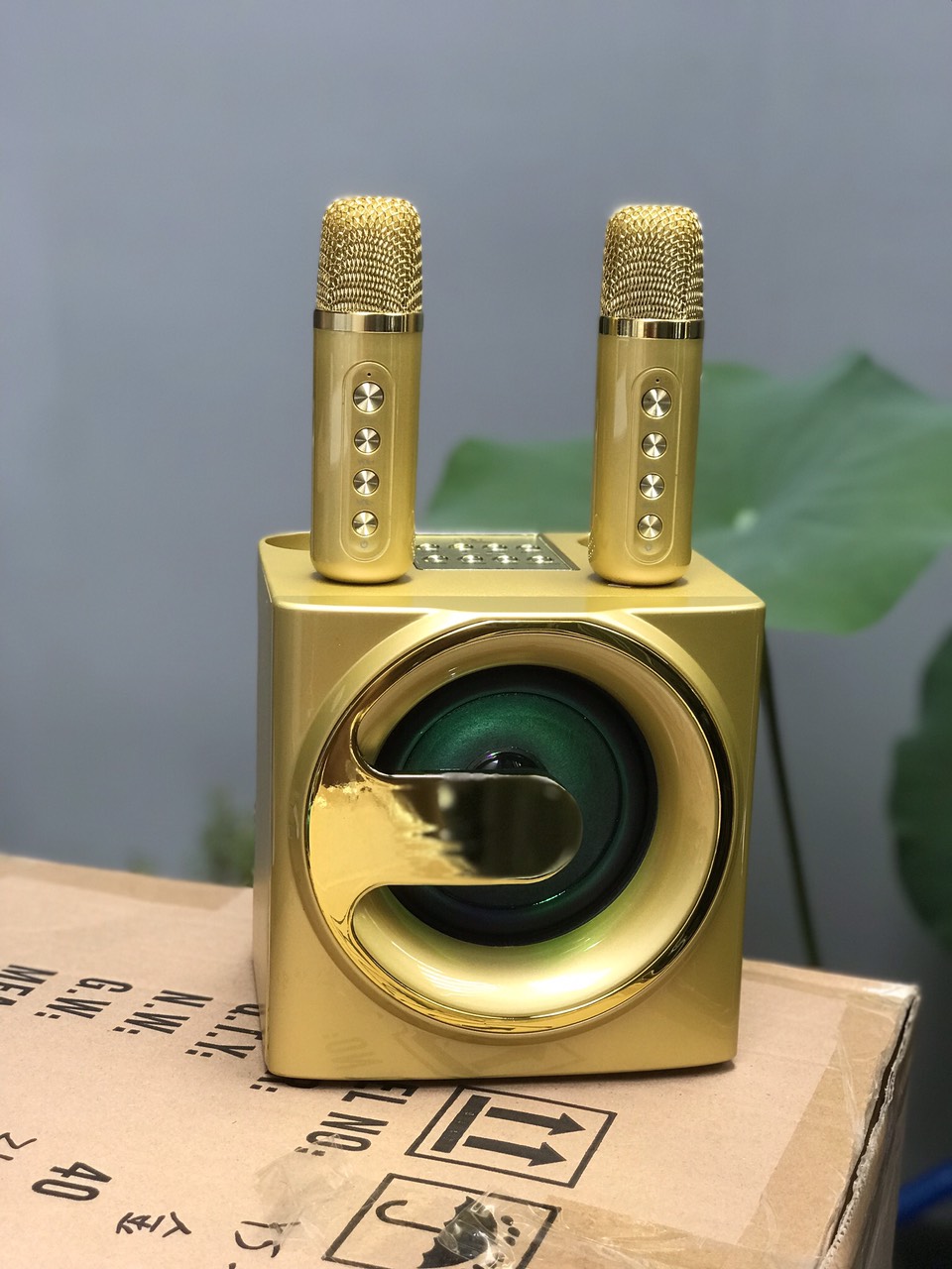 Loa Bluetooth Karaoke Su-Yord YS207 kèm 2 micro mẫu mới