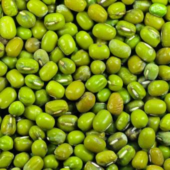 Đậu xanh làm giá đỗ<Hạt giống đậu xanh>Đậu xanh Oganic [Túi 1Kg]