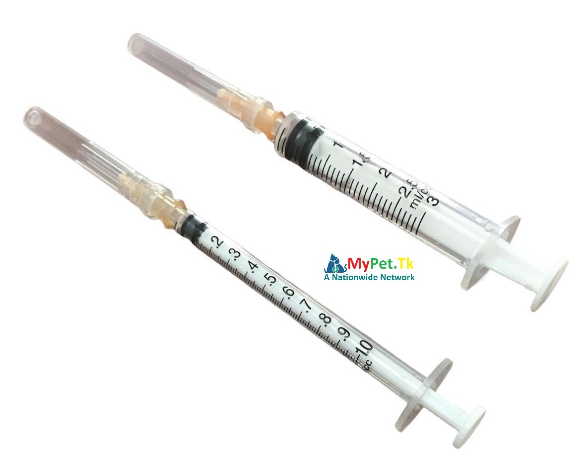 Ống tiêm chích vitamin khoáng cho thú cưng chó mèo gà vịt chim