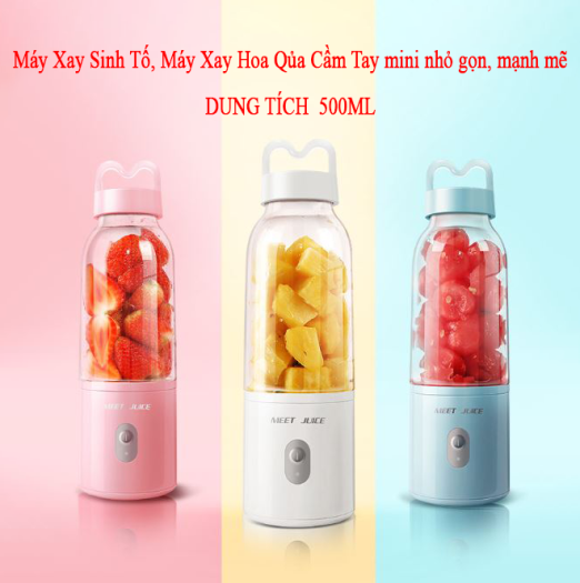 Máy Xay Sinh Tố, Máy Xay Hoa Qủa Cầm Tay mini nhỏ gọn, mạnh mẽ 500Ml 1 Cốc