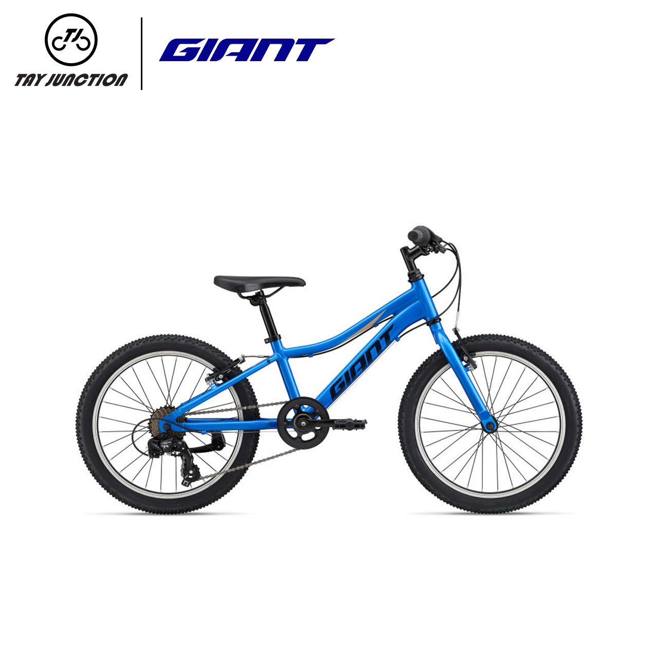 boys giant bike