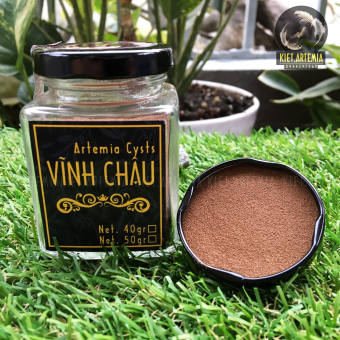 Artemia Vĩnh Châu - Trứng Artemia Tỉ lệ nở cao