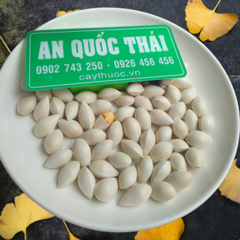Bạch Quả Tươi Nấu Chè 500g (Nguyên Vỏ), Hạt Chắc.Hạt Bạch Quả LOẠI 1 Rang Muối, Hầm Gà Siêu Ngon