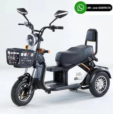 Mobility Scooter PMA 3 Seats (2)