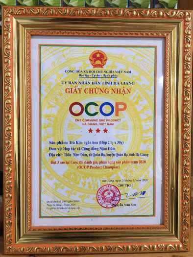 Trà Kim ngân hoa - Kháng sinh tự nhiên từ thực vật, giúp lợi tiểu và thải độc.