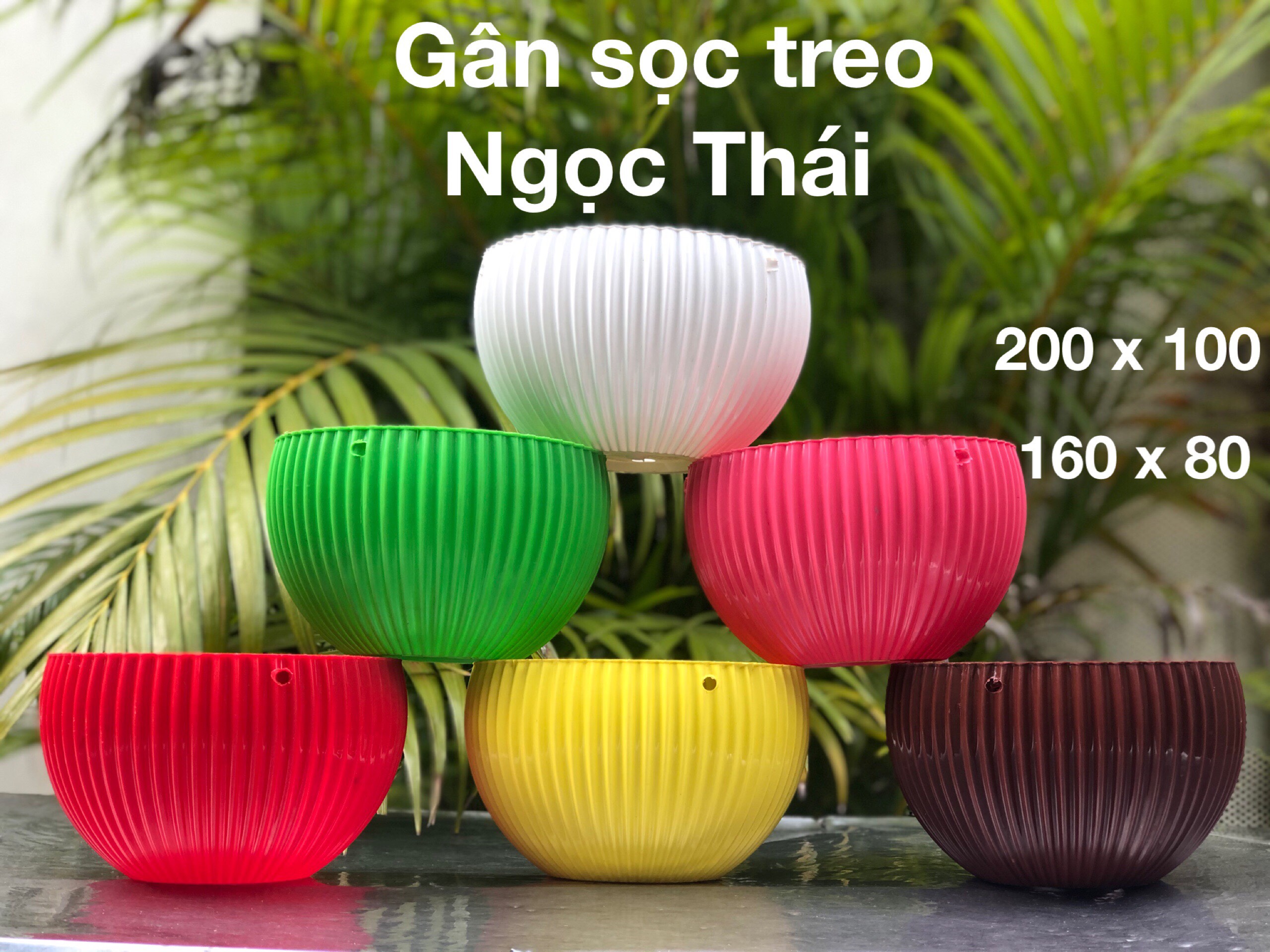 Chậu treo ban công - Chậu nhựa treo gân sọc trồng hoa - thích hợp trồng hoa dạ yên thảo, hoa dừa cạn, hoa cát tường - kích thước lớn (20 x 12 cm) - màu sắc bóng đẹp
