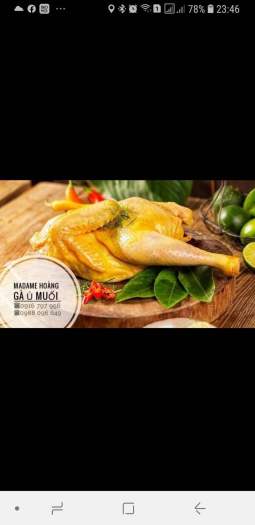 GÀ Ủ MUỐI madam Hoàng Số 1 Á Đông