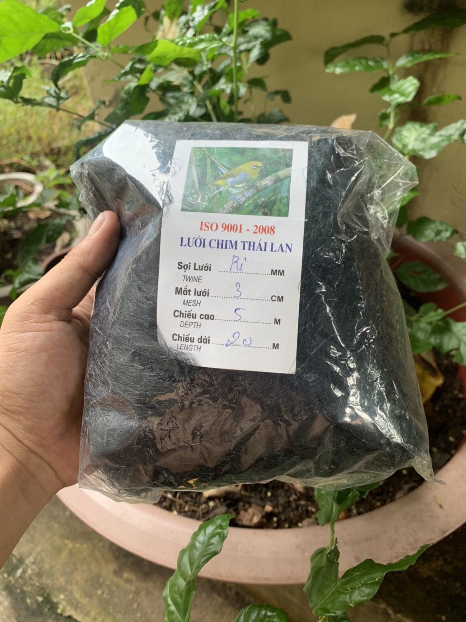 Lưới Bẫy Chim tàng hình Thái lan , chất liệu cước , cao 5m 3 phân, chuyên Chào Mào , Ri , Khuyên , Sâu , Cu Gáy , 4 dây 3 túi