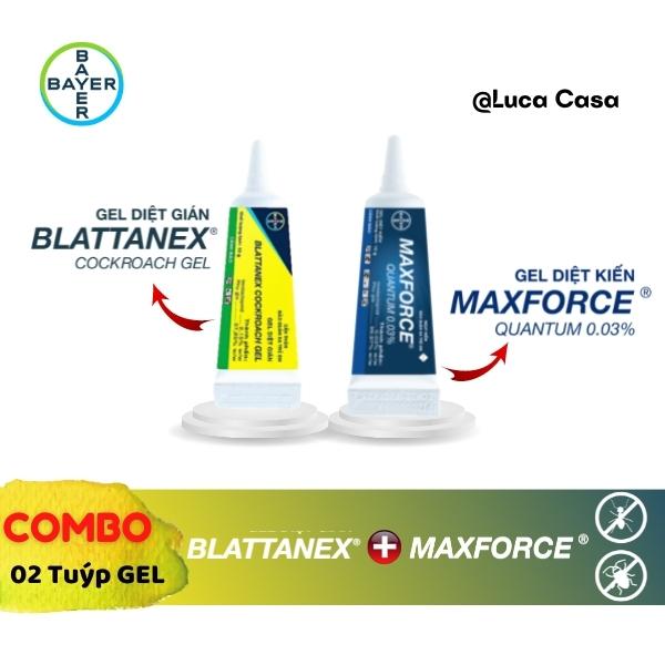 Combo Gel Diệt Kiến Maxforce Quantum + Gel Diệt Gián Blattanex Chính Hãng