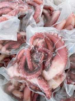 Râu tuộc khổng lồ  1Kg net 7