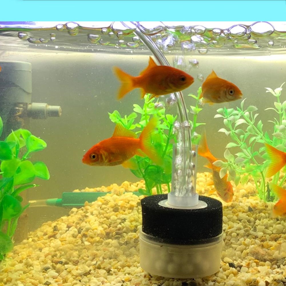 colorful aquarium rocks