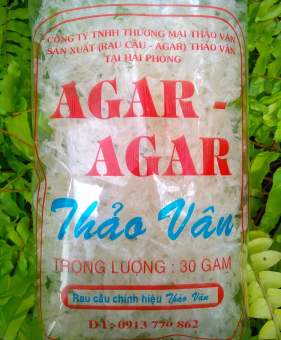 Rau câu sợi Thảo Vân. date 2024