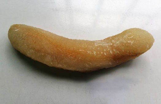 Hải Sâm Biển Trắng Chất Luợng Cao Cấp, Có Bảo Hành ( Gói 0.5 Kg)