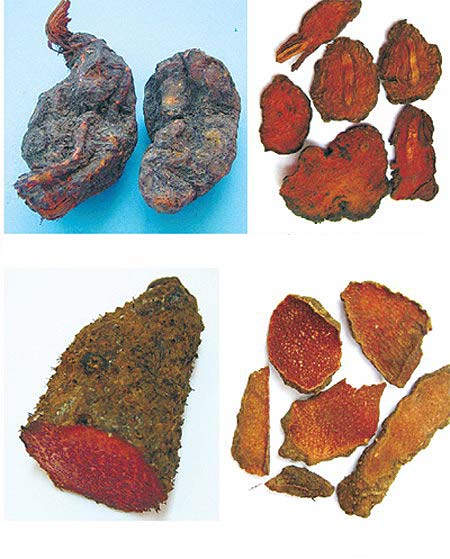 Hà thủ ô phơi khô 1 ký ( bàu sẵn - loại nam) vui lòng đọc thông tin sản phẩm nhé các tình yêu