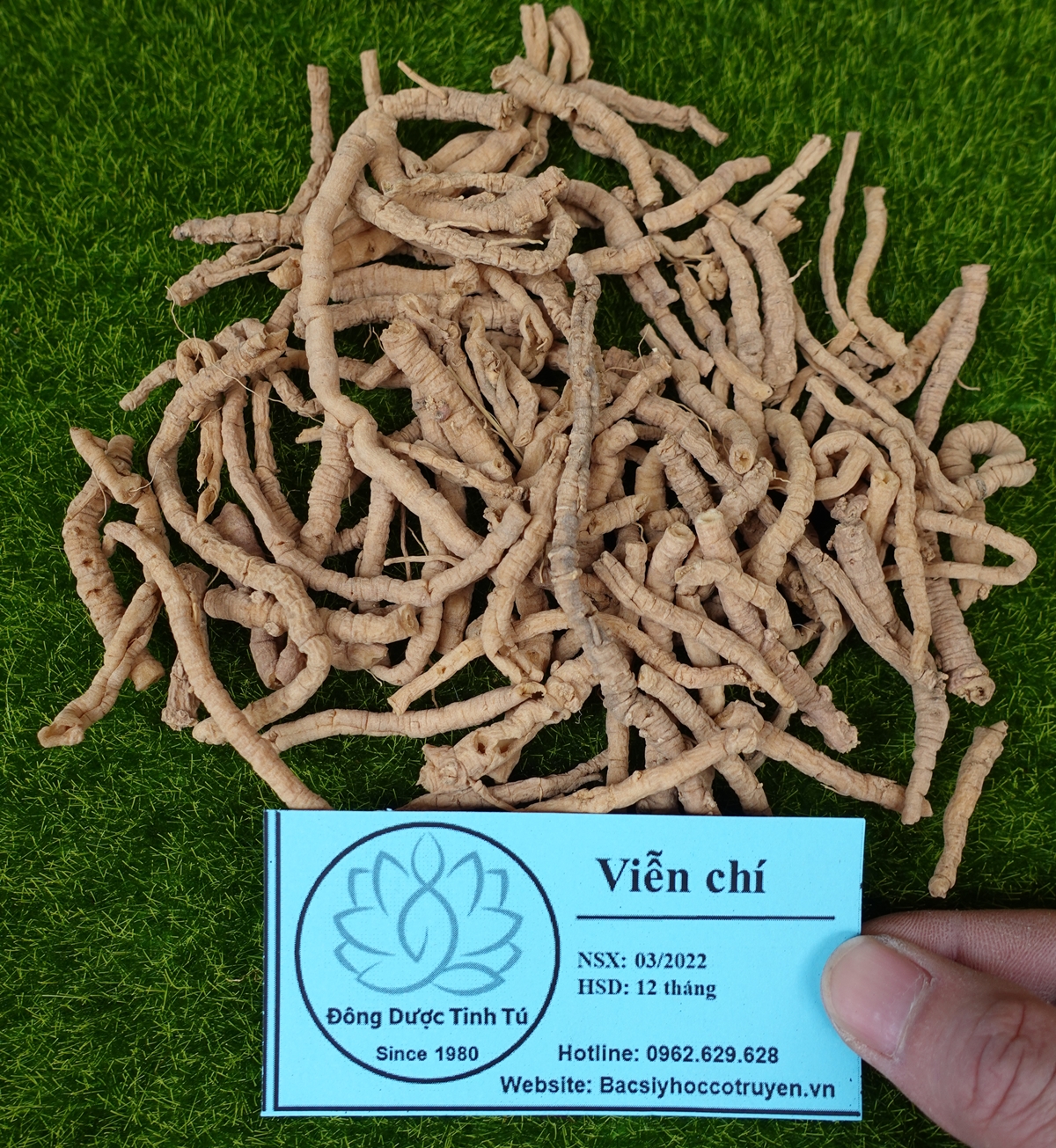 Viễn chí 100g, dược liệu loại 1, khô, sạch