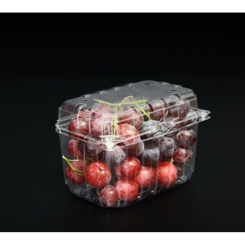 Combo 100 hộp nhựa đựng trái cây loai 500gr hoặc 1kg có lỗ thoáng khí và nút gài
