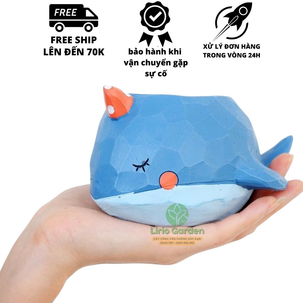 chậu trồng cây hình cá voi xanh [ tặng kèm đất trồng cây ]