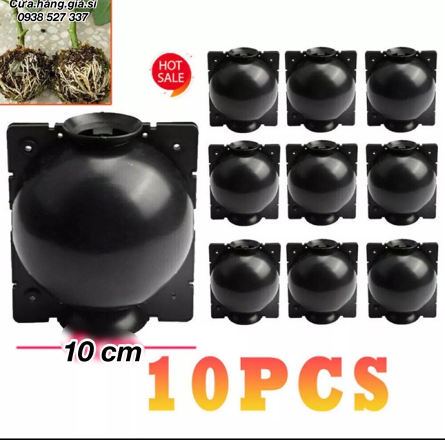 10 Bầu nhựa PP cao cấp size 10 x 12cm bầu chiết cành chuyên hỗ trợ chiết cành cực tốt tái sử dụng trong 4 năm giá rẻ