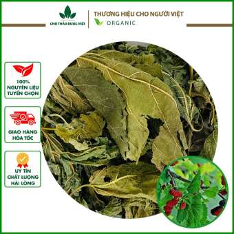 Lá dâu tằm khô 1kg (Tang diệp)