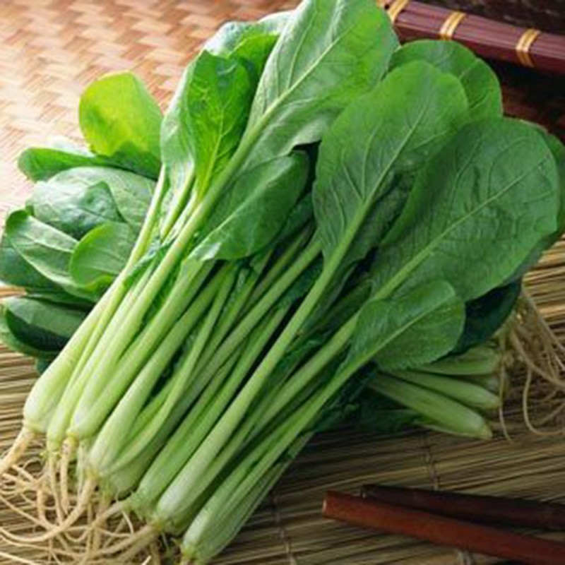 20Gr Hạt Giống Cải Ngọt giống kháng bệnh cây to mập dễ trồng