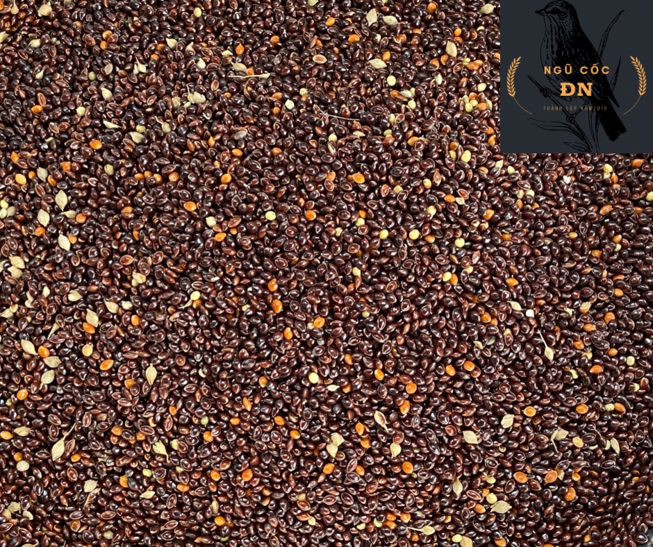 Cỏ Thái 1kg - Cỏ thái đen cho chim chim cu gáy- Ngũ cốc Đặng Nam