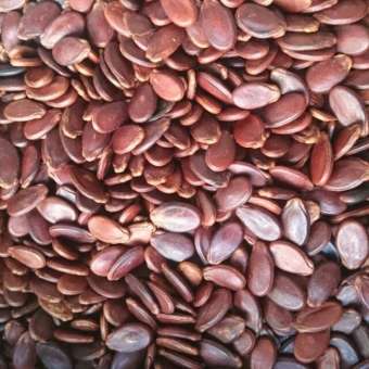 HẠT DƯA TỨ HƯNG LOẠI ĐẶC BIỆT KHÔNG PHẨM MÀU 500G [1BỊCH ZIP]