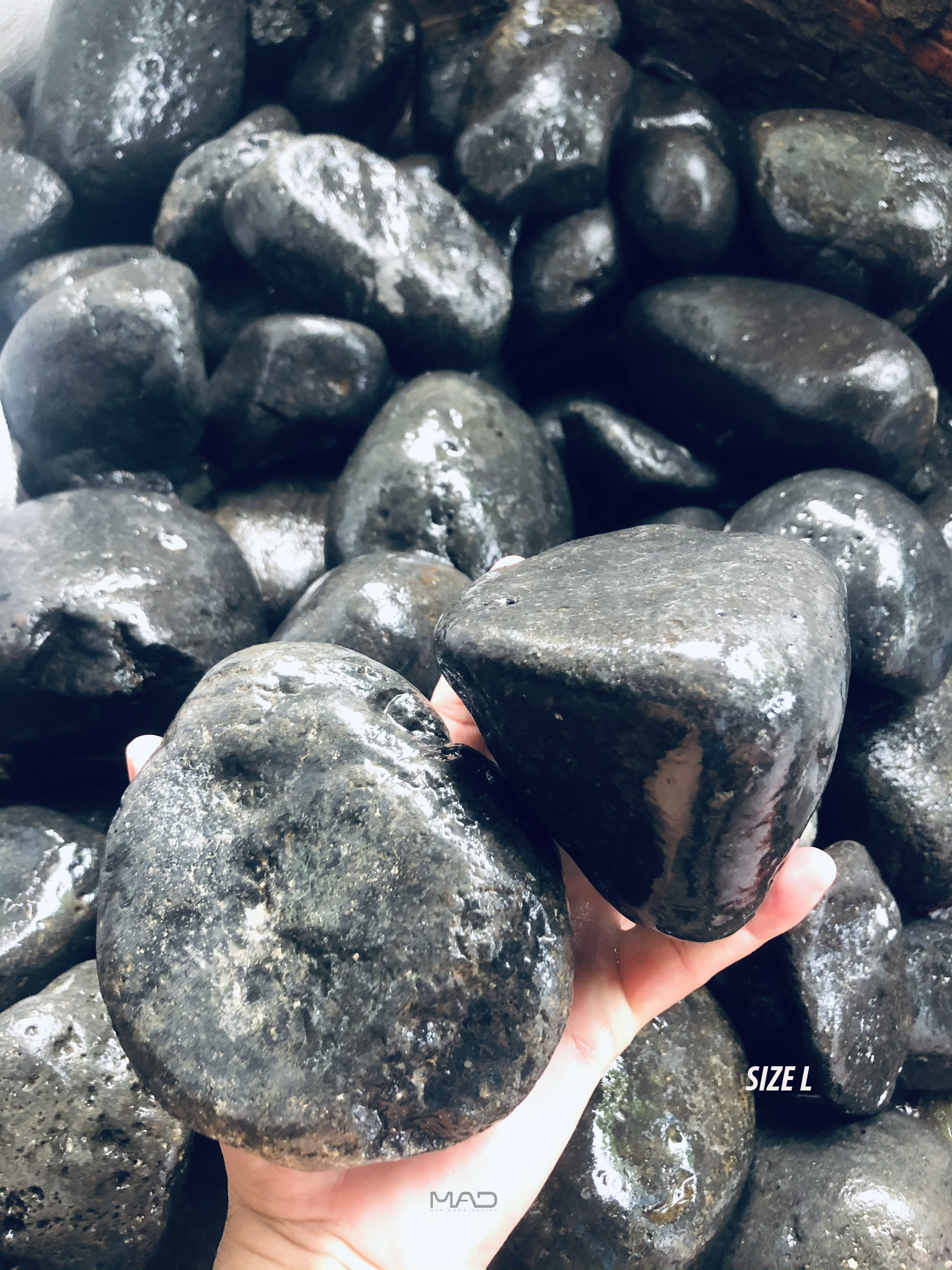Đá cuội đen lỗ trang trí hồ cá hồ thủy sinh