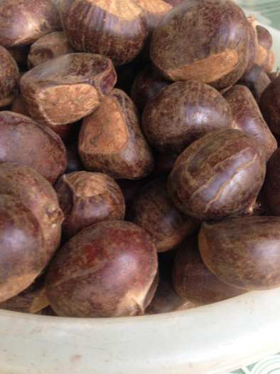 HẠT DẺ NGON Hạt Dẻ tươi sống chế biến các món ăn ngon dinh dưỡng. Đồ ăn vặt