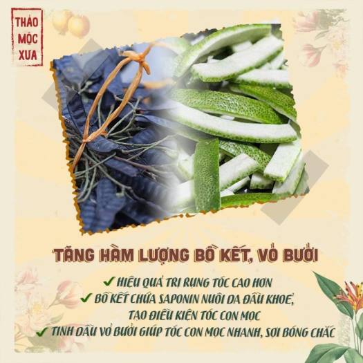 Dầu Gội Bồ Kết Thảo Dược Kích Thích Mọc Tóc Ngăn Rụng Tóc Giảm Ngứa Gàu Thảo Mộc Xưa Organic 500ml Hiệu Quả Sau 7 Ngày Miquala