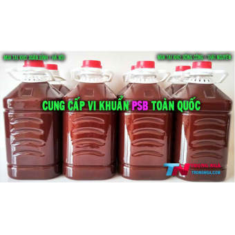 Vi sinh PSB - Vi khuẩn quang hợp PSB - 350ml