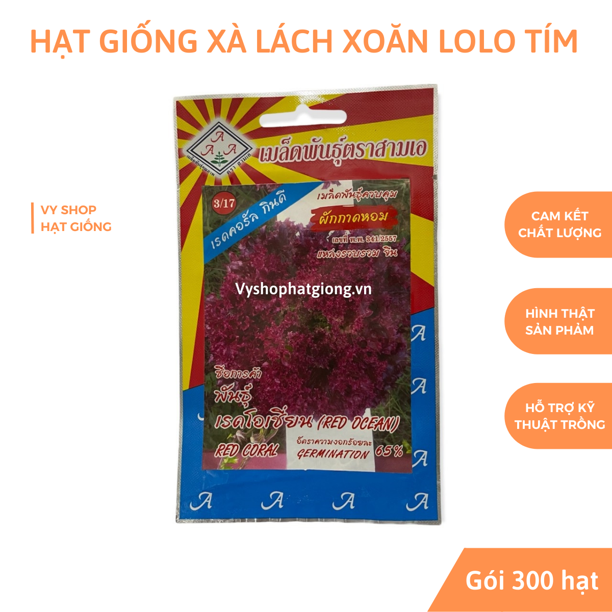 Hạt giống xà lách xoăn lolo tím Thái Lan
