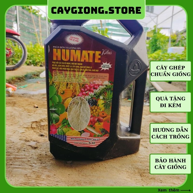 Phân bón Humic Humate vi lượng hữu cơ phục hồi cây tăng trưởng kích thích ra rễ mạnh PB10 Giá 190,000 Đồng*Miễn phí vận chuyển