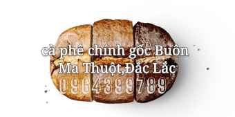 500g cafe Arabica rang mộc(trần)