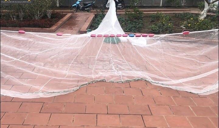 Lưới quét cá lưới kéo cá lưới vét cá bằng chã cao 2.5m dài 30 mét túi 4.5m, lưới kéo cá bằng chã