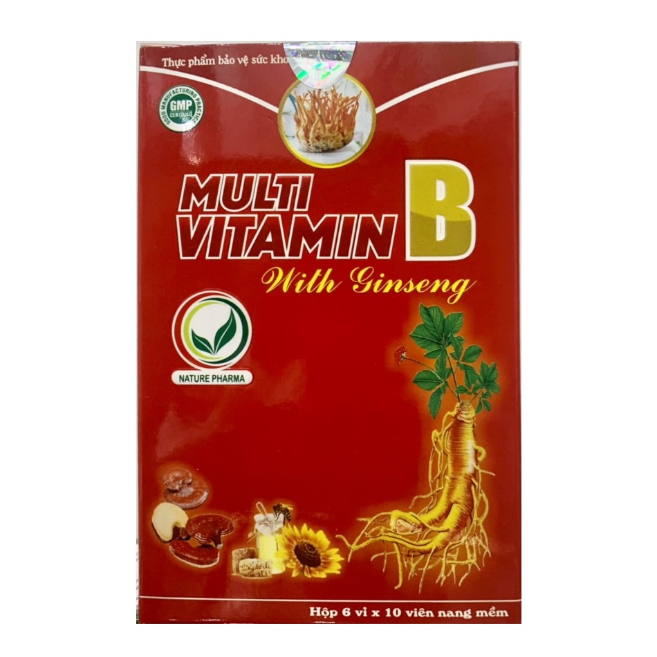 Thực Phẩm Bảo Vệ Sức Khỏe Viên Multi Vitamin B With Ginseng