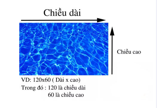 Tranh 3D Dán Bể Cá Thuỷ Sinh Hình Đáy Biển Siêu Đẹp, Công Nghệ In UV Nhật Bản có sẵn keo dán Decor hồ cá, In theo kích thước yêu cầu ( 30 , 40 , 50 , 60, 70, 80cm, 100 cm...)