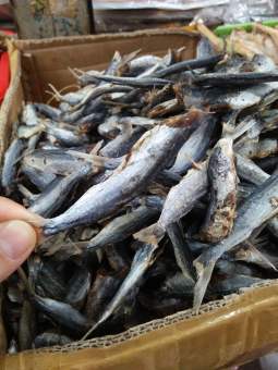 500gr CÁ CHUỒN MÍT KHÔ ĐẶC SẢN ĐÀ NẴNG - siêu ngon