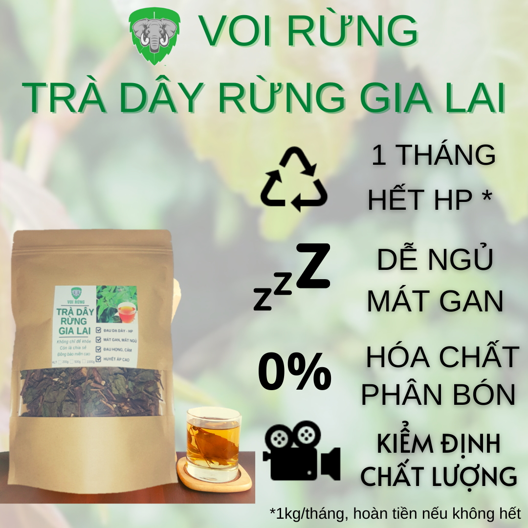 Trà Dây Rừng Gia Lai - 200g 500g 1kg